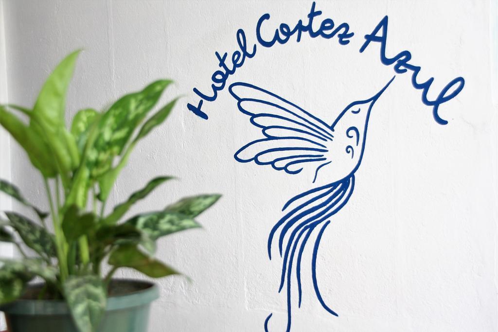 Hotel Cortez Azul Alajuela Luaran gambar